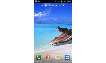 Crocodile House Live Wallpaper for Android - Download the APK from Habererciyes